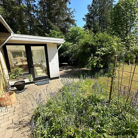 Large With Balcony At The Edge Of The Forest Lokken