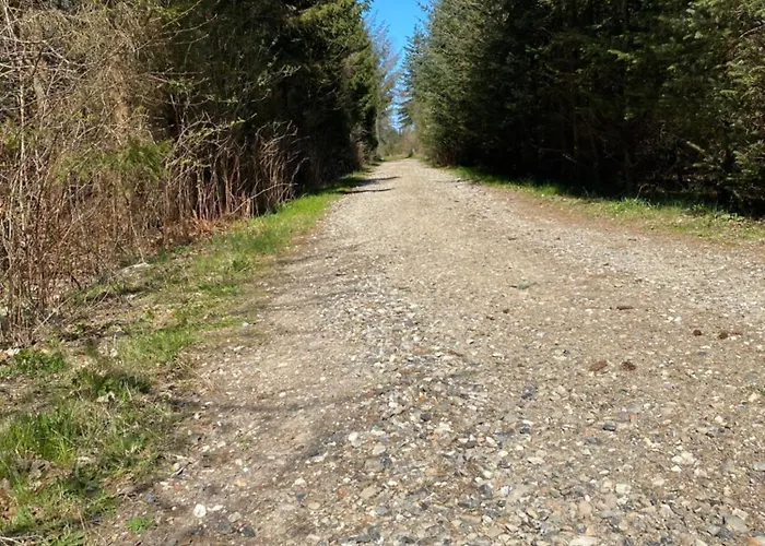 Large With Balcony At The Edge Of The Forest * Løkken