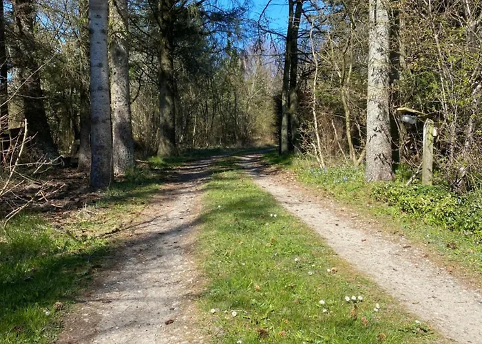منزل للإقامة Large With Balcony At The Edge Of The Forest Løkken