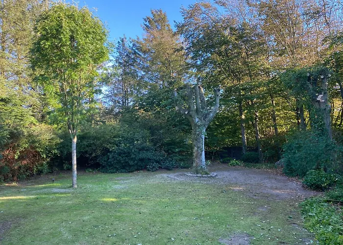 Large With Balcony At The Edge Of The Forest منزل للإقامة *