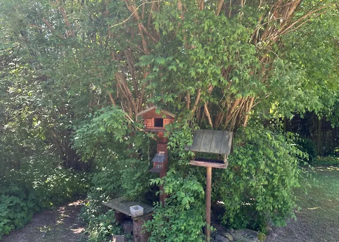 منزل للإقامة Large With Balcony At The Edge Of The Forest *